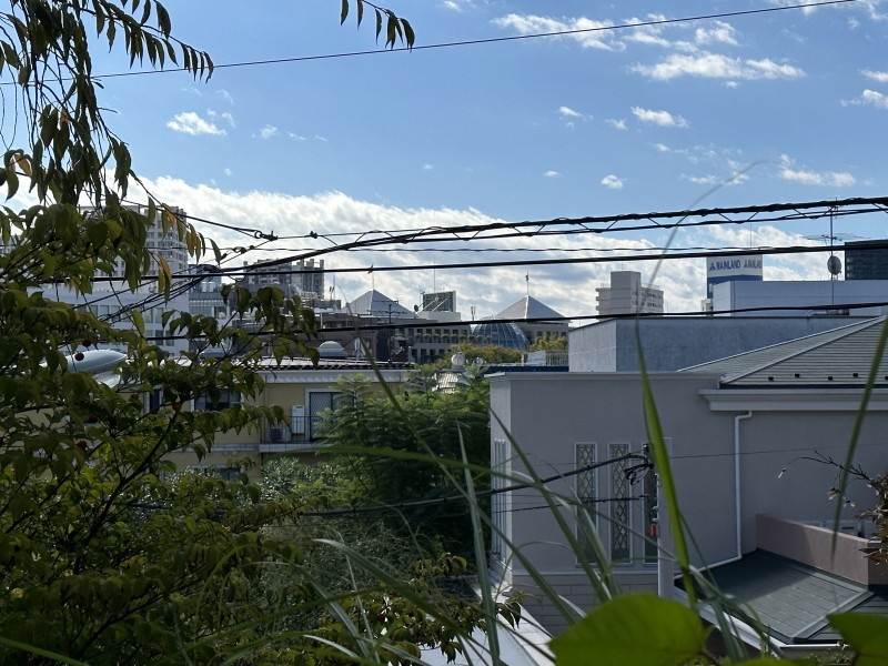 リビングダイニングからの眺めです。都心でありながらも閑静な邸宅街の落ち着いた時間が流れる、こころ安らぐ空間です。