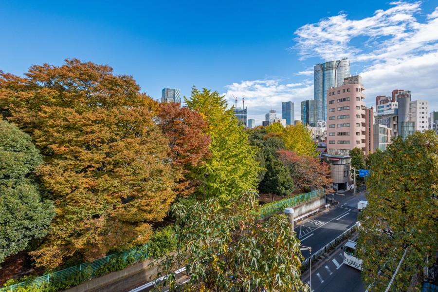 青山霊園・青山公園の緑を望む眺望です。ゆったりとした青空と都会的なビル群、豊かな緑のコントラストを楽しみながらほっとひといきつくのも良さそうです。