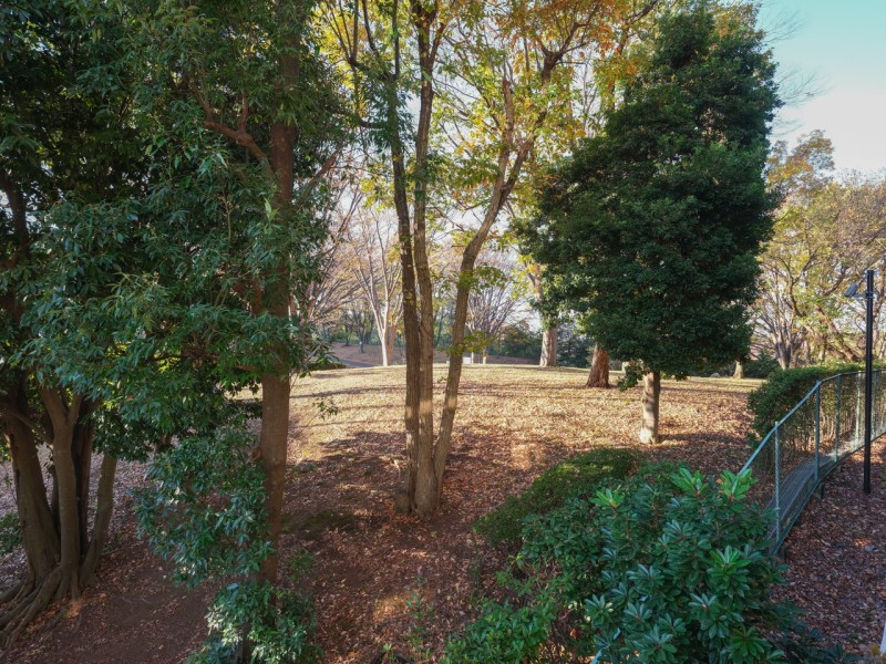 根岸森林公園を望む眺望です。穏やかな木漏れ日と心落ち着く空間は、忙しいあなたもほっとひといきつけるリフレッシュスペースです。