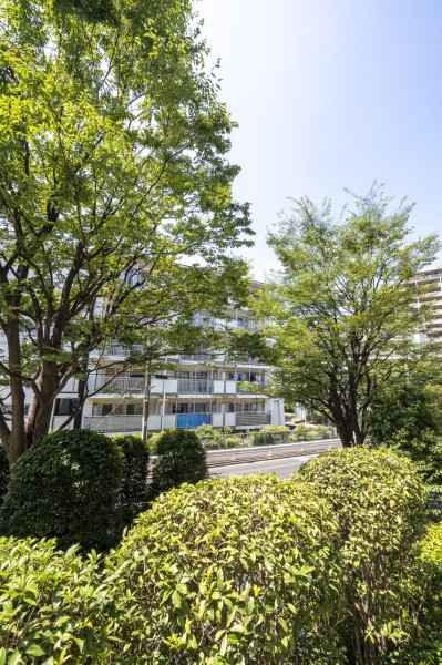 外部からの視線も気にならず、周囲の植栽が美しい緑のヴェールに包まれた眺望です。ほっと一息つき、日々をアップデートできそうです。