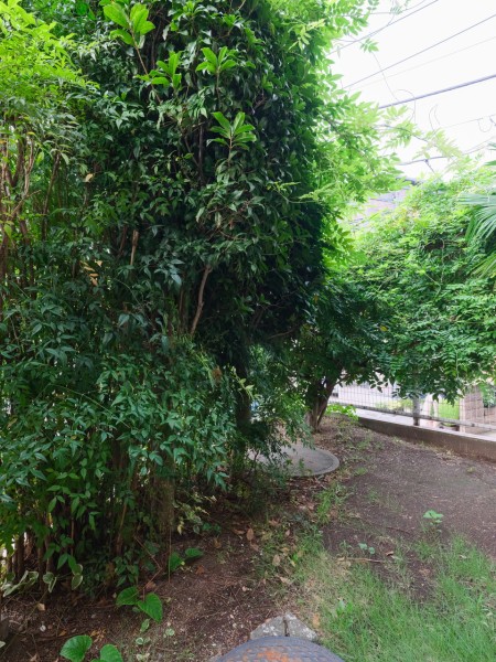 約10m²の専用庭です。毎日が忙しいあなたもほっと一息つける安らぎの空間です。