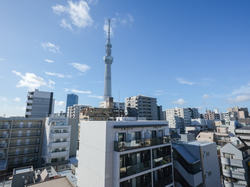 南側の窓、バルコニーからはスカイツリーを、共用廊下からは隅田川の花火を鑑賞いただける住まいです。