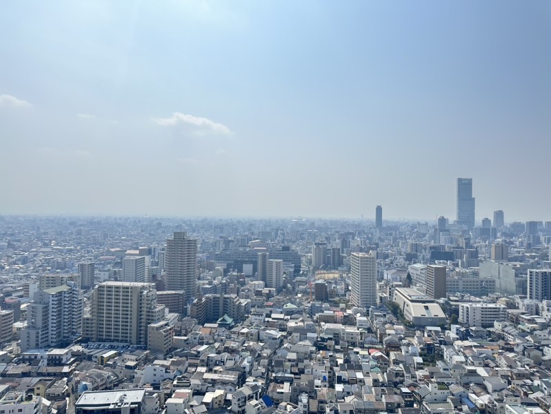 31階部分、南向き、前面を遮る建物はなく、大きく開けた空と大阪市内の街並みを堪能することができます。変化していく街並みの眺めから日々の活力を養える空間です。