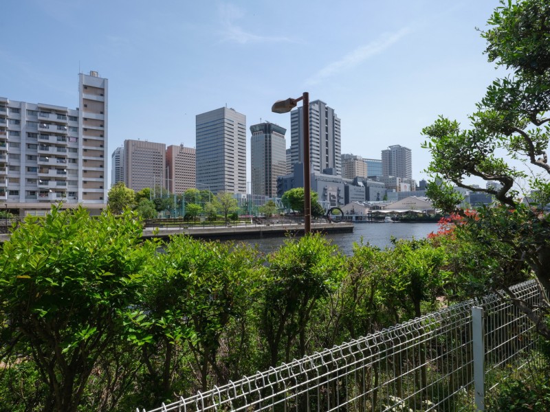 天王洲運河を見渡すハーバービューのお部屋です。視界にいつでも緑を感じられる居心地の良いテラスを備え、ゆるやかに流れる水辺を感じるゆったりとした空間です。