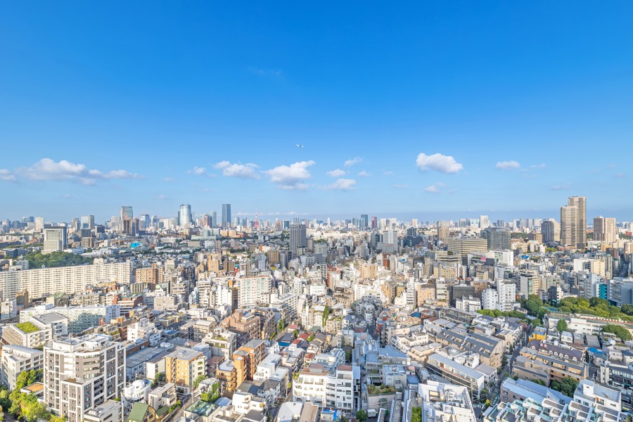 青々とした大空を掌中に収めながら、洗練された暮らしを実現できる眺望です。遠くまで見渡せる景色の中には東京タワーの姿も。思わず深呼吸をし、日々をアップデートできそうな空間です。