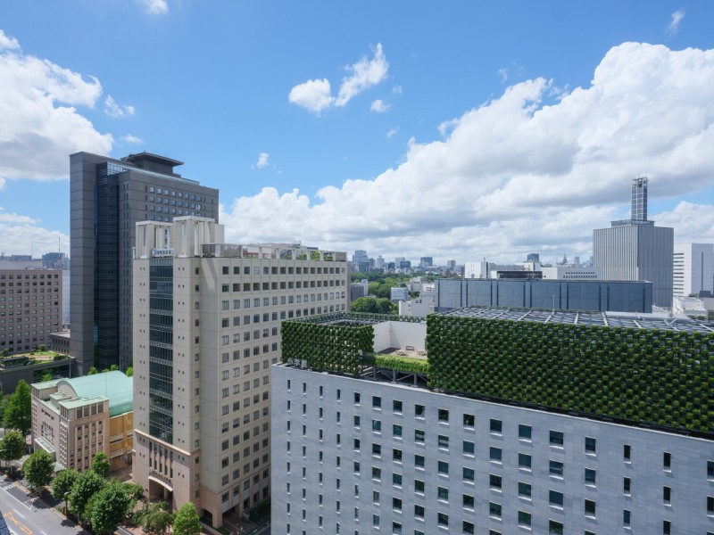 バルコニーからの眺望です。遠くまで青々と広がる大空や季節を語る樹々の様子までも堪能できる眺望を手中におさめる暮らしが叶います。