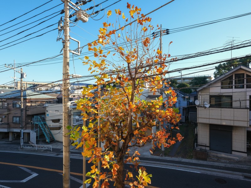 季節の移ろいを感じる開放感のある眺望です。