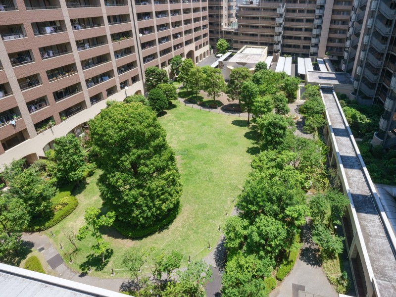 ゆとりあふれるパティオ（芝生広場）があります。広々とした空間に、ゆったりとした時間が流れ、光と風が舞う健やかな緑の園になっています。