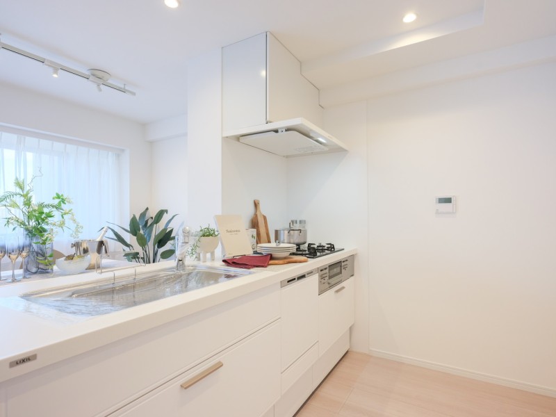 清潔感がありながら重厚感も感じるキッチンです。収納量や調理のしやすさ、省エネ、デザインなど優れた点が豊富に備わったシステムキッチンです。