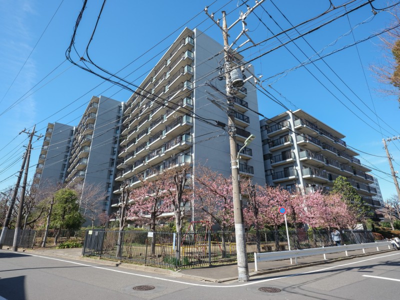 豊かな緑と潤い感じる多摩川をすぐそばに、総戸数218戸の大規模コミュニティマンションです。130ほどの店舗が軒を連ねる商店街や公園がほど近く、ファミリーにも嬉しい住環境です。