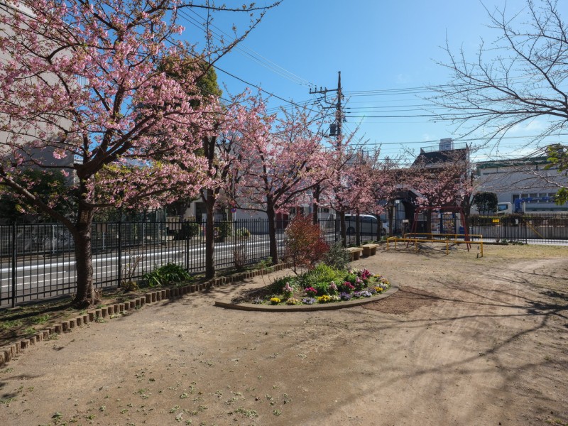 敷地内には鮮やかな花壇とブランコが設けられた安らぎの共用スペースも。物件目の前には豊富な遊戯が揃ったお子様に人気の矢口二丁目公園があります。親子の遊び場としても頼もしい環境です。