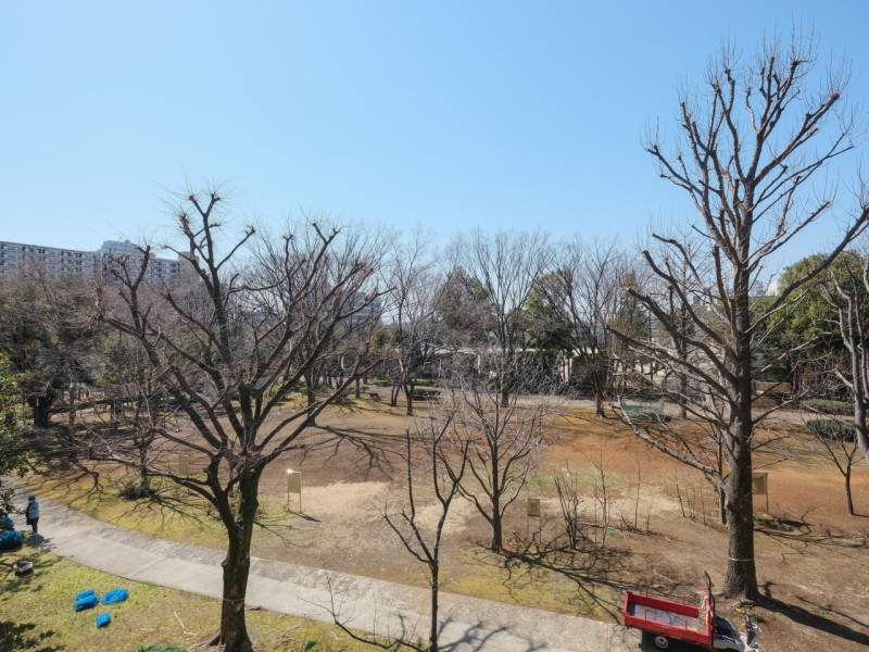 「四季の香公園」の芝生広場を望む眺望です。春夏には青々とした空と芝生の鮮やかなコントラストを楽しみながら、爽やかな風を感じられるリフレッシュ空間です。