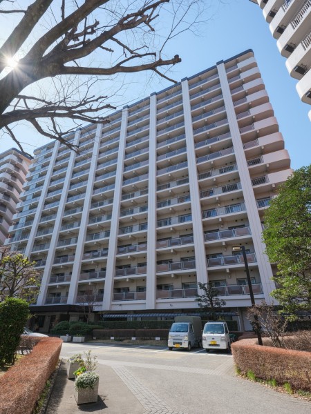 『光が丘』駅徒歩6分に位置する新耐震基準適合マンションです。物件周辺にはローズガーデンなども展開する約42万m²の広さを誇る公園や、駅直結の大型商業施設「光が丘IMA」があります。