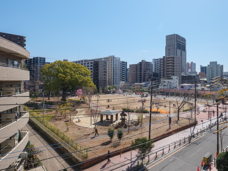 物件至近には常盤公園があり、豊かな緑を感じながらも都会の利便性を享受する伸びやかな暮らしが叶います。