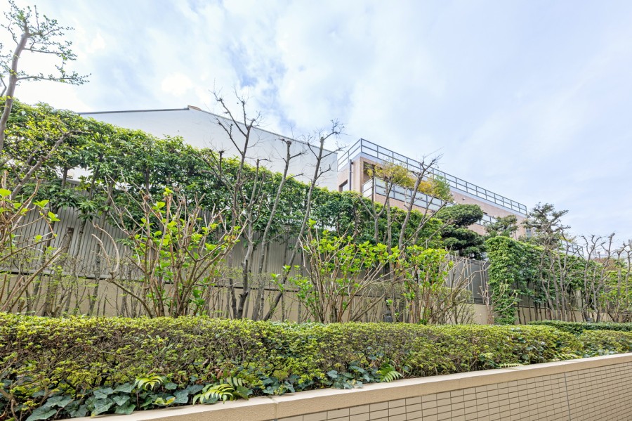 1階部分ですが、外からの視線は気になりません。ほっと一息つき、日々をアップデートできそうです。