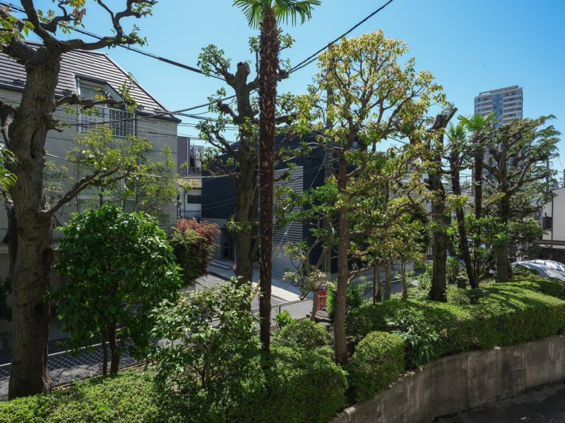 バルコニーからの眺望です。凛とした空気が流れこみ、緑を感じられほっと一息つき、日々をアップデートできそうです。