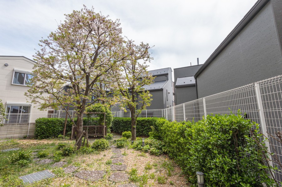 バルコニーからの眺望です。季節の移ろいを感じられる、伸びやかな景色が広がります。