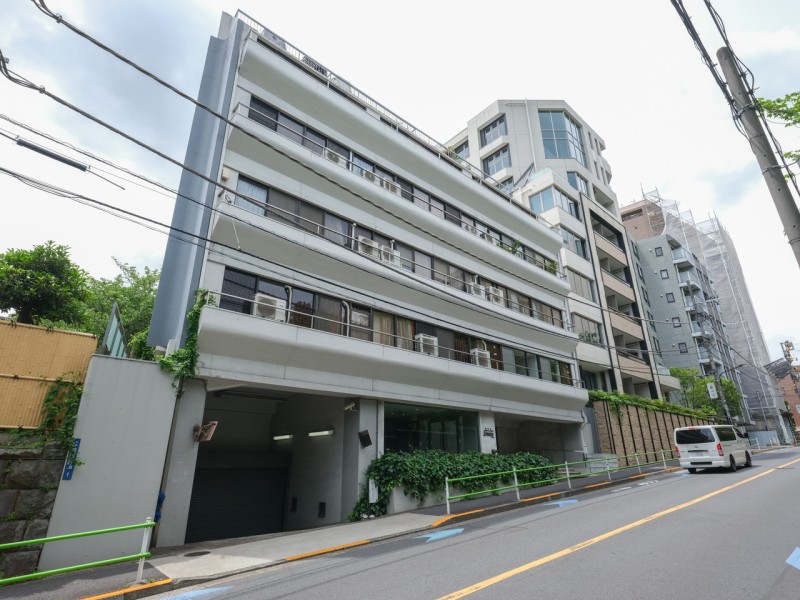 『白金台３丁目』に佇む、ヴィンテージマンションです。人気の白金小学校学区域（徒歩2分）、プラチナ通りまでも徒歩5分程度で、新緑や美しいイチョウ並木が有名な、緑も多い住環境です。