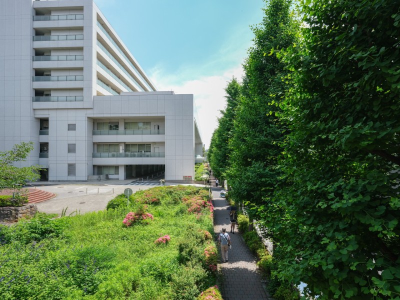 東側からは隣接する東京山手メディカルセンターの緑が望めます。