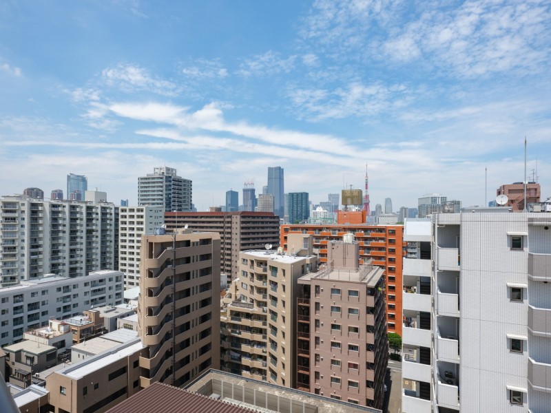 都心らしい高層ビル群の向こうには東京タワーをご覧いただけます。のびやかに広がる空が日常になり、至福の時間に包まれる住まいです。