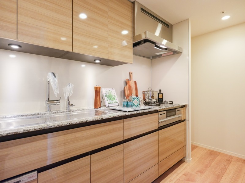 システムキッチンは食器洗浄乾燥機も備え付けです。作業スペースも大きくゆとりのあるキッチンですので、お料理好きの方にも満足頂けるキッチンです。