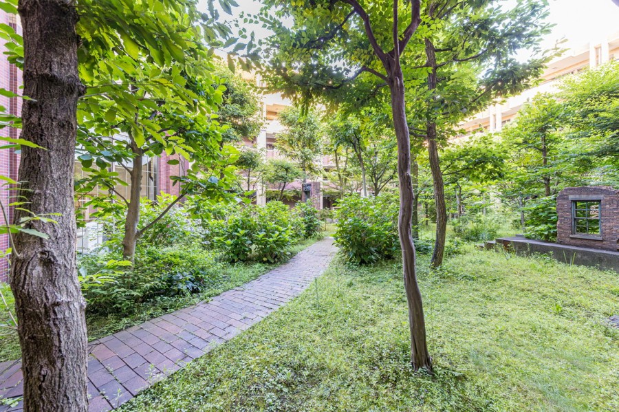 植栽がとてもきれいに管理された共有部です。豊かな四季を感じられる癒しの空間です。