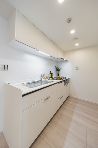 お料理に集中できる収納豊富な壁付けシステムキッチンです。油や水はね汚れのお手入れもしやすいので綺麗なキッチンを保てます。