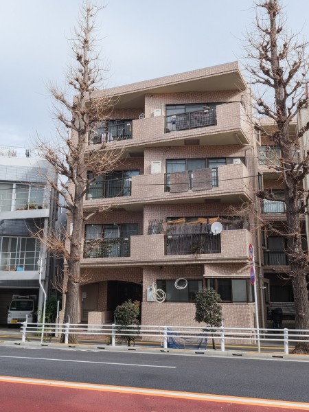 総戸数19戸、4階建てのマンション。落ち着いた色合いのタイル貼りの外観です。強固な鉄筋コンクリートの造りになっているので長期間安心してお住まいいただけます。2020年共用部大規模修繕工事実施済みです。