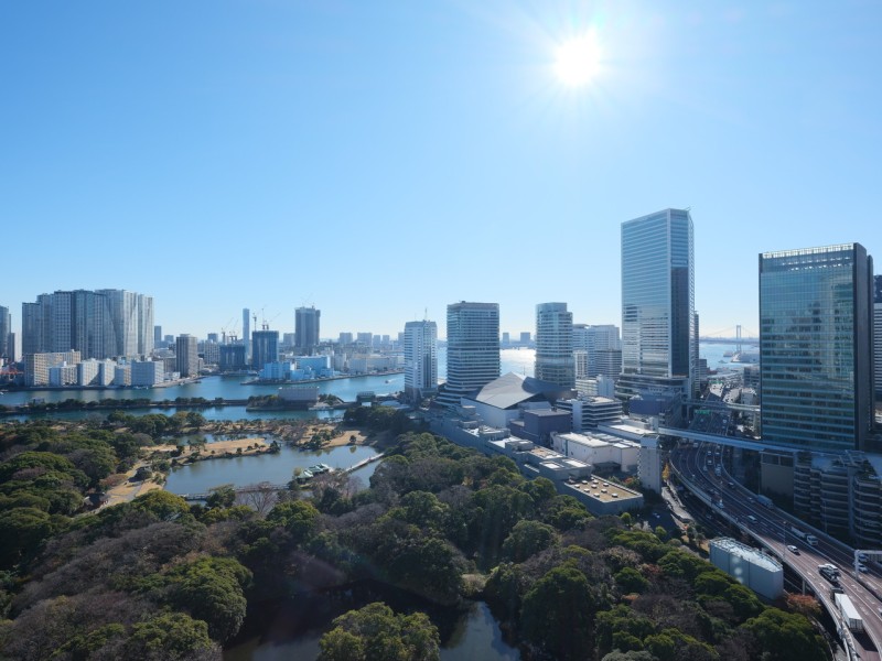 遠くまで青々と広がる大空や季節を語る樹々の様子までも堪能できる眺望を手中におさめる暮らしが叶います。都心らしい高層ビル群と心安らぐ緑が共存した眺望です。