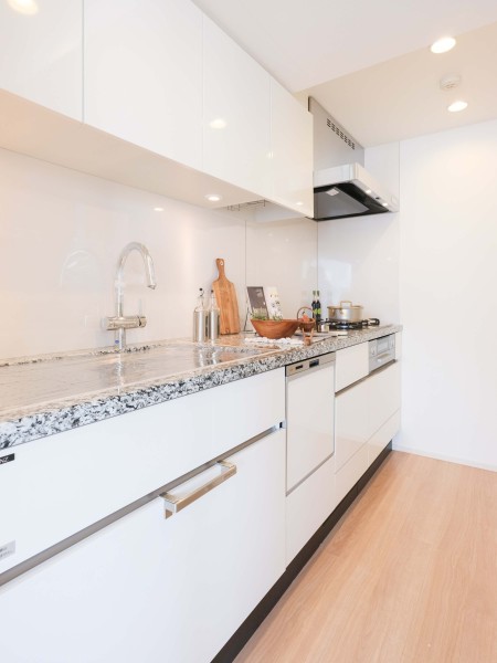 天然御影石のカウンタートップ採用の壁付けタイプのシステムキッチンです。収納スペースが豊富で、油や水はね汚れのお手入れもしやすいので綺麗なキッチンを保てます。