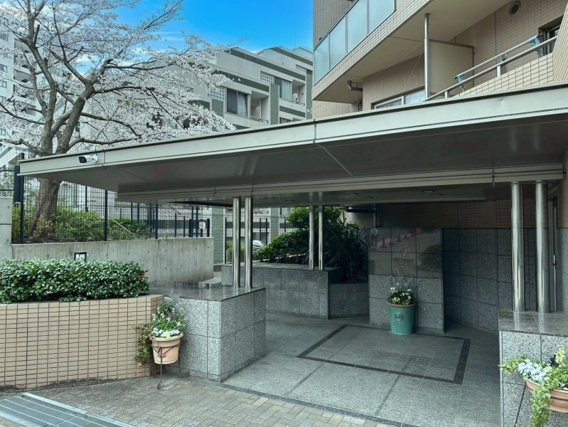 マンションのエントランスは管理が行き届いておりとても綺麗です。敷地内に植えられている桜の木が春には咲き誇り、毎年の楽しみになりそうです。