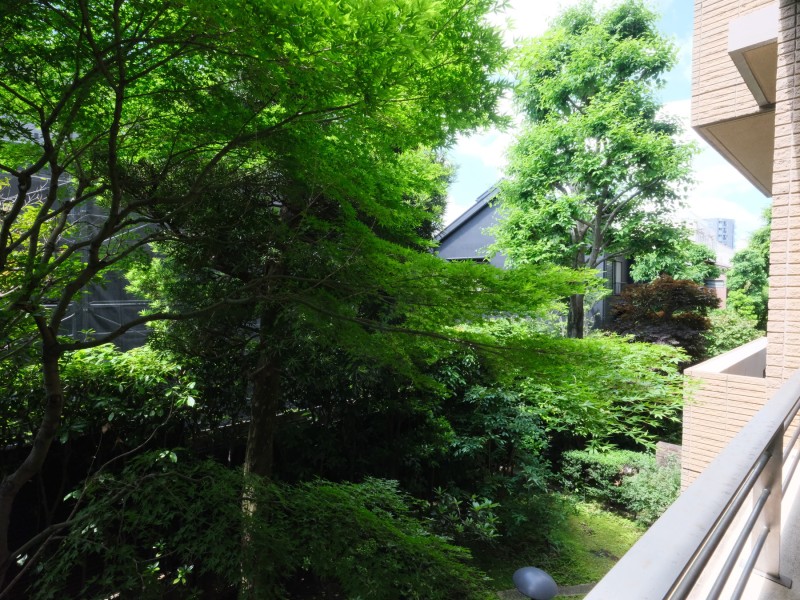 青々とした木々の潤いが感じられる眺望です。外部からの視線が気になりにくく、プライベートタイムを満喫できる空間です。
