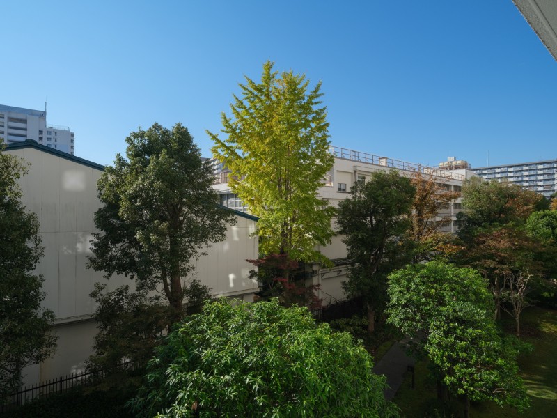 青々とした開放的な空と心躍る緑が、互いの魅力を引き立て合い、よりいっそうのゆとりを宿す空間です。