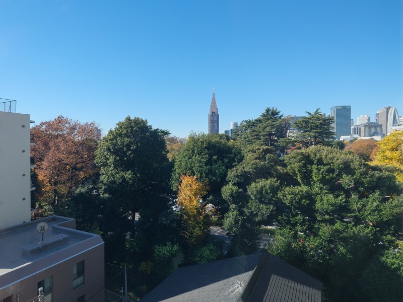 青々とした空と新宿御苑の緑を望むことができます。お部屋にいながら季節の移り変わりを感じられる眺望です。