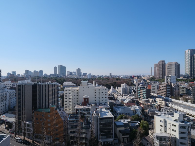 自然教育公園向きの眺望で自然の緑も望めます。遠くまで青々と広がる大空に開放感とゆとりを宿すタワーレジデンス。飽きのこない窓辺からの光景を愉しむことができます。