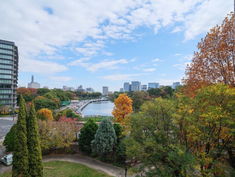千鳥ヶ淵の豊かな緑と広い青空が美しく調和する、開放感あふれる眺めが広がります。季節や時間とともに表情を変える、飽きのこない景色をお愉しみいただけます。