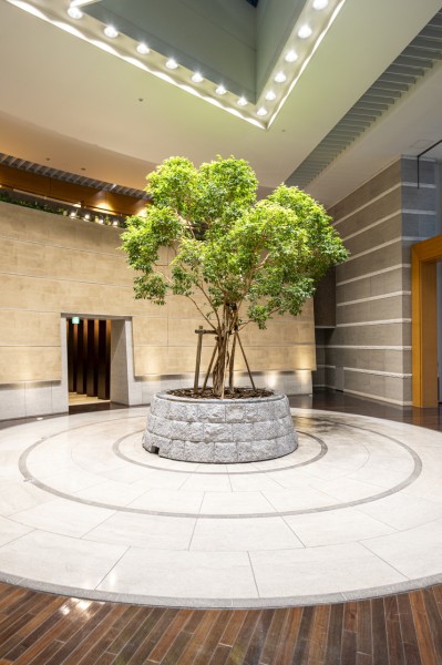 植栽の緑が心地の良さを演出するエントランスです。植栽は綺麗に整えられ、毎日気持ちよく出入りできそうですね。