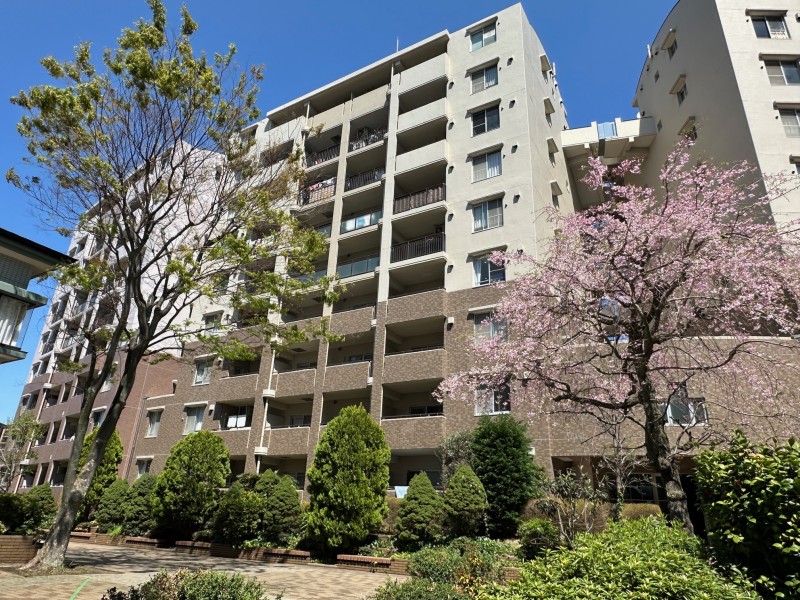 『仲町台』駅から徒歩5分の立地に佇む、総戸数417戸のビックコミュニティーです。茅ヶ崎公園まで徒歩6分、業務スーパー仲町台店まで徒歩6分と利便性と豊かな緑に囲まれた住環境です。