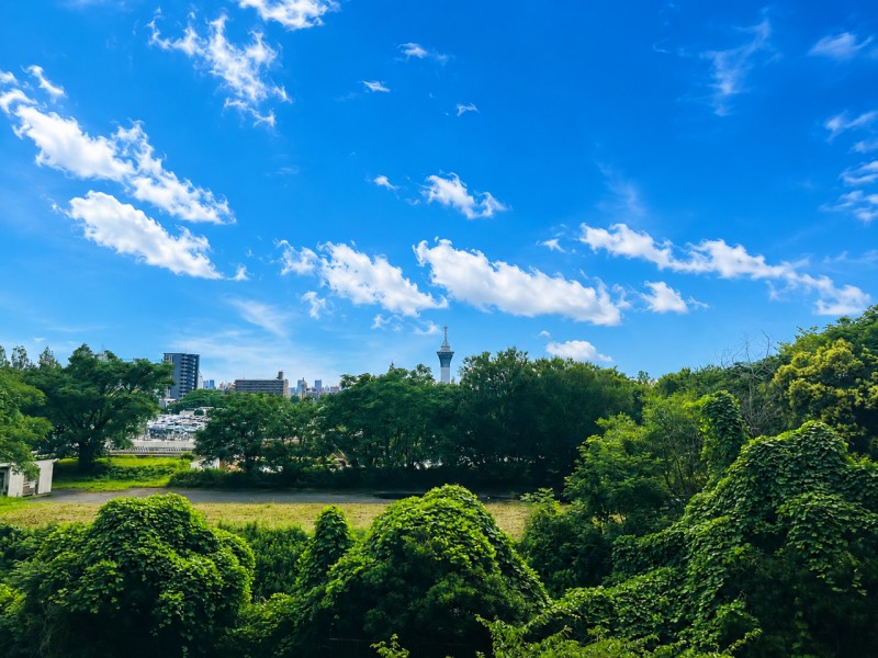 バルコニーからは大きな青空と深い緑のコントラストが美しい、自然豊かな景色が広がります。心地よい陽の光と風を感じながら、開放的な気分を味わえる空間です。