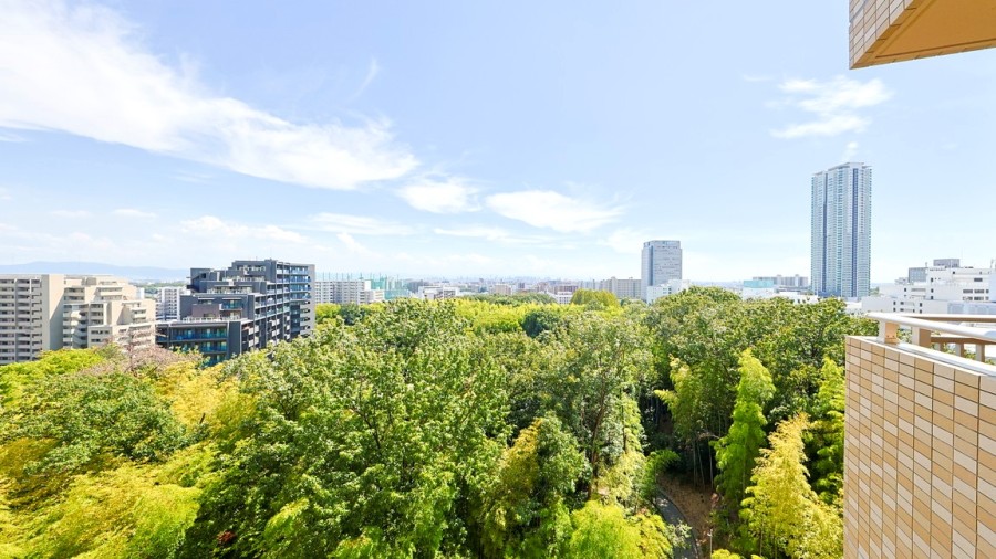 大きく広がる青い空と前面に広がる深い緑のコントラストが美しい、自然豊かな景色が広がります。日々忙しさに追われる暮らしの中で、光と風を感じながらゆったりと伸びをしたくなるような眺望です。
