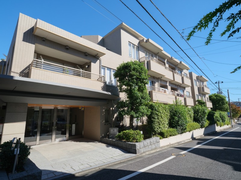 第1種低層住居専用地域に佇む、低層マンションです。ペット飼育可能（細則有）です。徒歩圏内にスーパーやコンビニがあり、買い物も便利な住環境です。