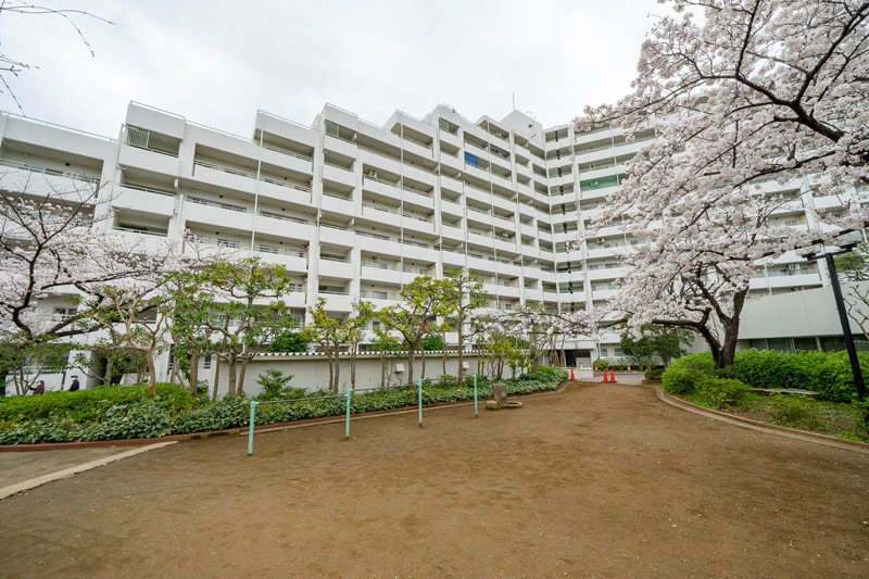 総戸数257戸！安心の大規模マンションです。桜の木がシンボルとなり、住まう人々を見守ります。ちょっとした遊具のある敷地内広場が憩いの場になっています。
