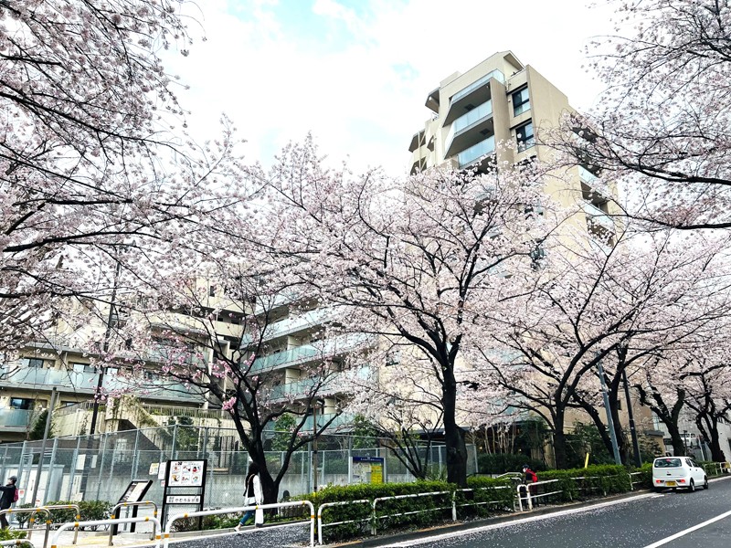 「不動前」駅から桜並木が続く自然豊かなアプローチです。お隣りには「品川区立かむろ坂公園」があり、お子様の遊び場やほっと一息する空間にピッタリです。