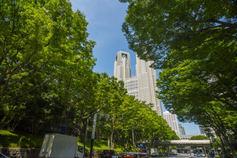 新宿中央公園の先には東京都庁が望めます。都心でありながらも自然の潤いも感じることができる「上質」な住環境です。