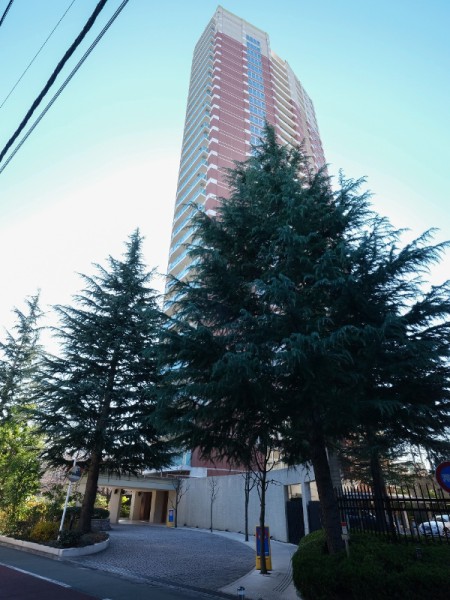 『東中野』駅徒歩3分の30階建て超高層マンションです。