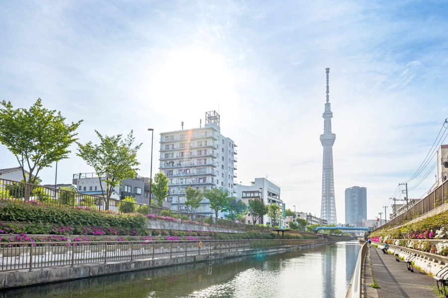 マンションのそばを流れる北十間川から撮影した物件と東京スカイツリーの様子です。凛とした空気が流れ込み、デジタルには語りきれない感覚を研ぎ澄ませる安らぎある住環境です。