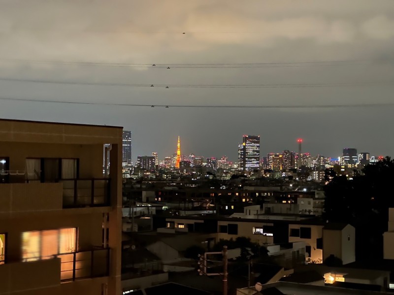 夜には鮮やかに輝くライトアップされた東京タワーを掌中に。デジタルには語りきれない開放感をめいっぱい感じ、きらめく夜景を眺める洗練された暮らしが叶います。