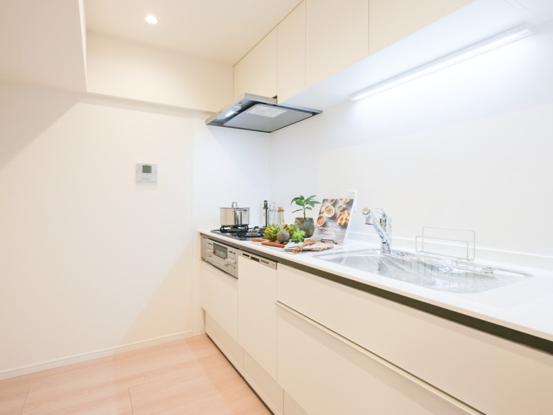 収納豊富な壁付けタイプ、明るいソリッドホワイトのシステムキッチンです。作業スペースにゆとりがあり、家事時短に便利な食洗器を搭載しています。