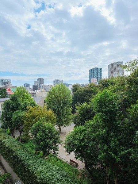 狸穴公園の緑と都会のビル群、移り変わる季節を楽しむことができる眺望です。都会の喧騒に疲れた時はバルコニーに出て、ほっとひと息をつくことができます。都心の静寂と緑を享受することができます。