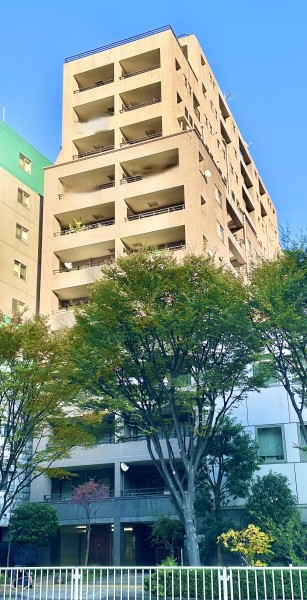 優しく落ち着いた雰囲気で上品な印象の外観です。帰宅時に迎え入れてくれるような気持ちになります。スーパーやコンビニ、ドラッグストアなどが徒歩圏内にあり住環境良好なマンションとなっております。